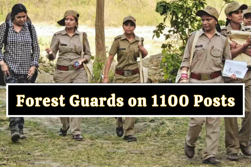 Recruitment process of forest guards on 1100 posts will start soon, permission sought from the state government