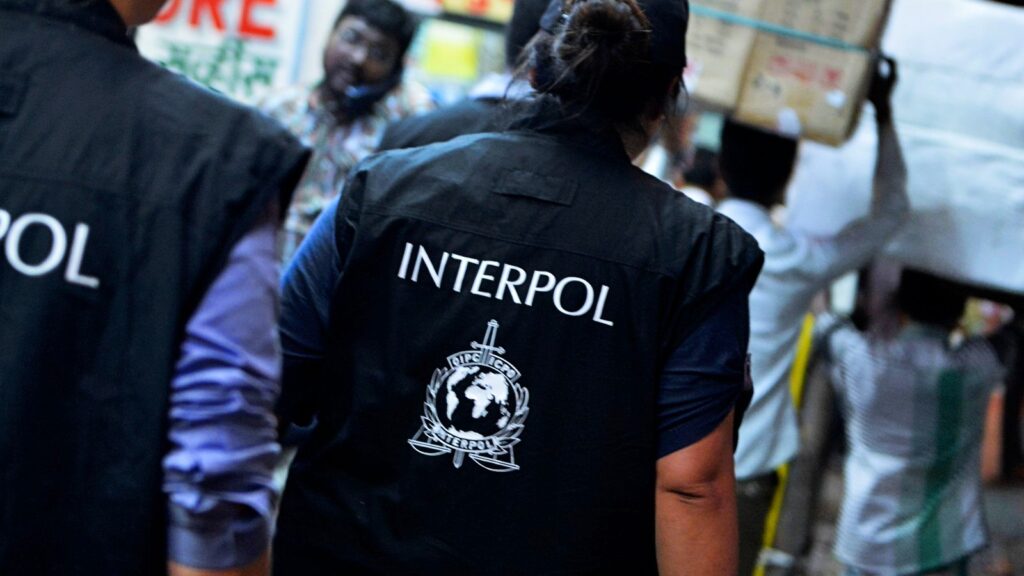 What is Interpol Police?