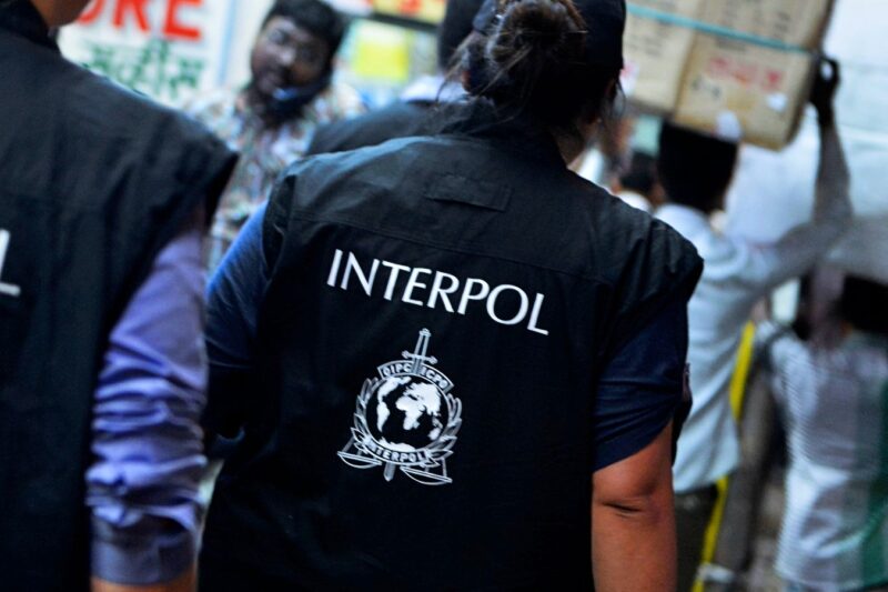 What is Interpol Police?